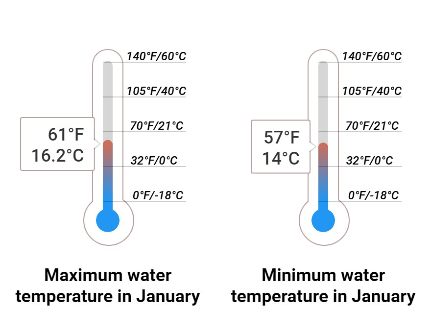 Average Sea temperature